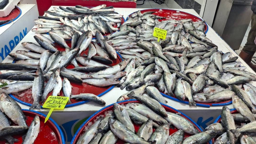 Konya’da balık çok ilgi yok! İşte Konya’da güncel balık fiyatları… 8